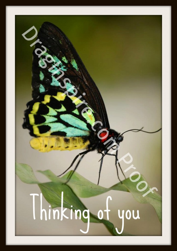 thinking of you butterfly